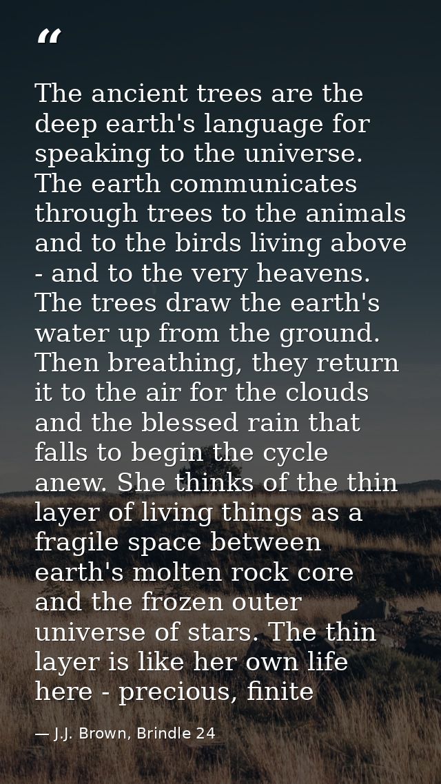 The ancient trees are the deep earth's language for speaking to the universe. The earth communicates through trees to th — J.J. Brown, Brindle 24