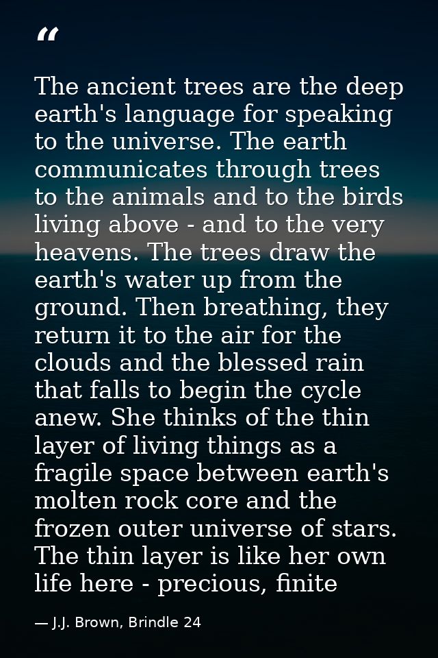 The ancient trees are the deep earth's language for speaking to the universe. The earth communicates through trees to th — J.J. Brown, Brindle 24