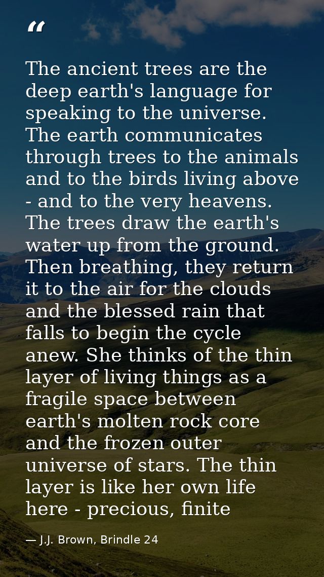 The ancient trees are the deep earth's language for speaking to the universe. The earth communicates through trees to th — J.J. Brown, Brindle 24