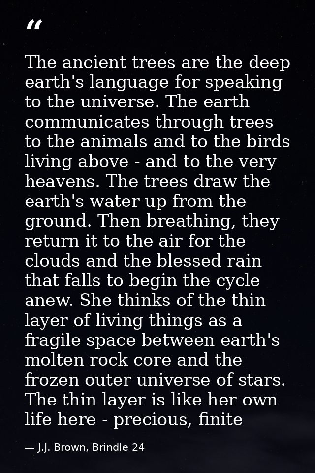 The ancient trees are the deep earth's language for speaking to the universe. The earth communicates through trees to th — J.J. Brown, Brindle 24