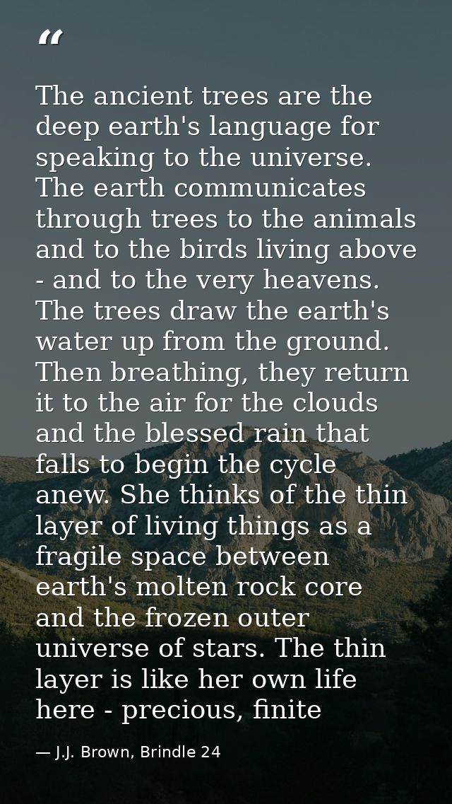 The ancient trees are the deep earth's language for speaking to the universe. The earth communicates through trees to th — J.J. Brown, Brindle 24