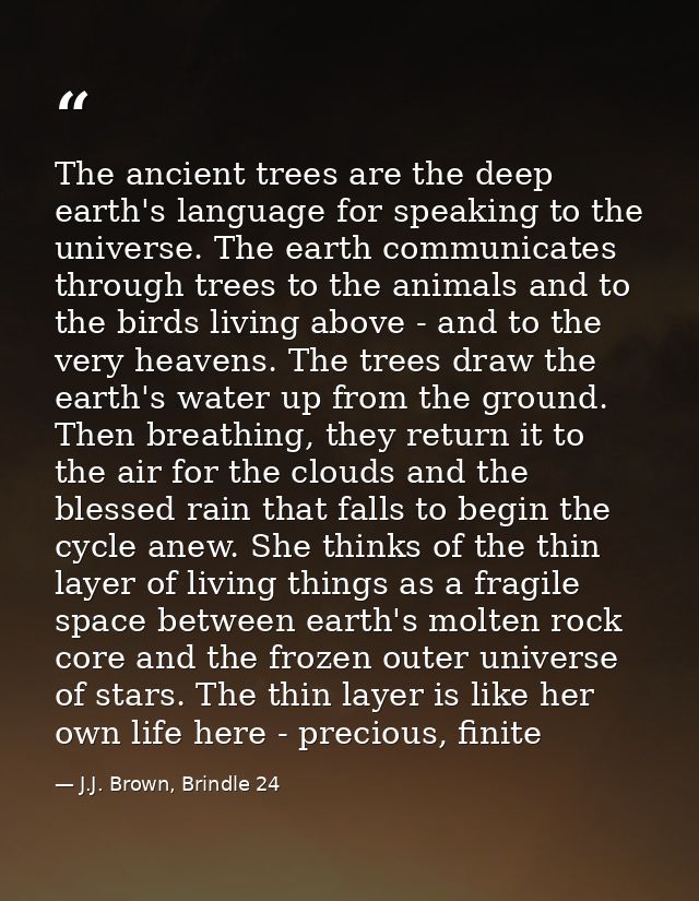 The ancient trees are the deep earth's language for speaking to the universe. The earth communicates through trees to th — J.J. Brown, Brindle 24
