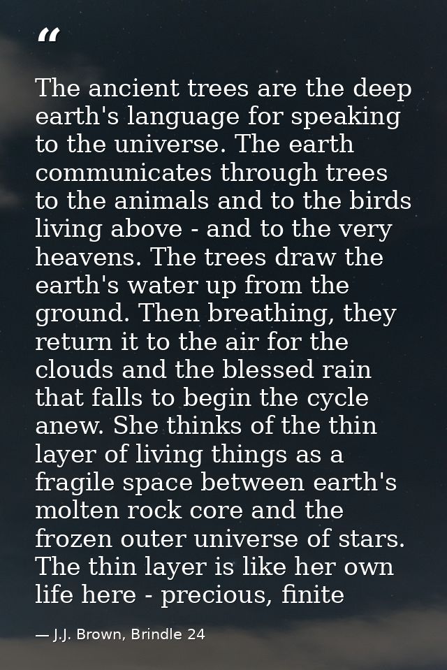 The ancient trees are the deep earth's language for speaking to the universe. The earth communicates through trees to th — J.J. Brown, Brindle 24