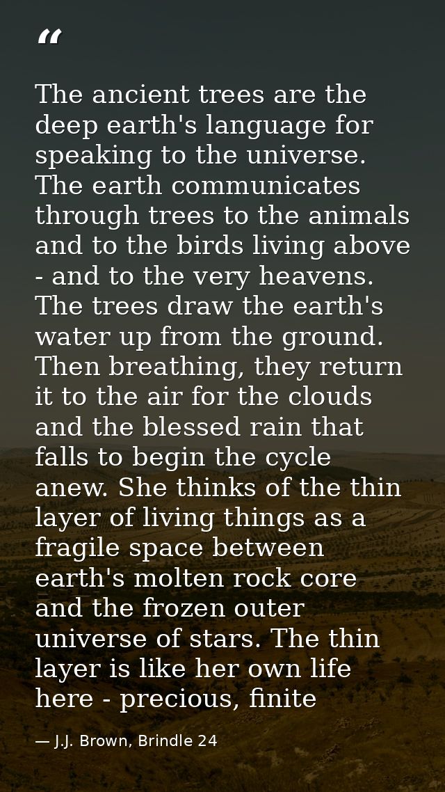 The ancient trees are the deep earth's language for speaking to the universe. The earth communicates through trees to th — J.J. Brown, Brindle 24