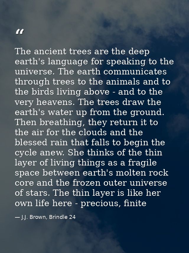 The ancient trees are the deep earth's language for speaking to the universe. The earth communicates through trees to th — J.J. Brown, Brindle 24