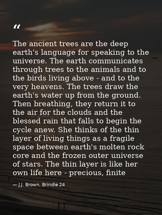 The ancient trees are the deep earth's language for speaking to the universe. The earth communicates through trees to th — J.J. Brown, Brindle 24