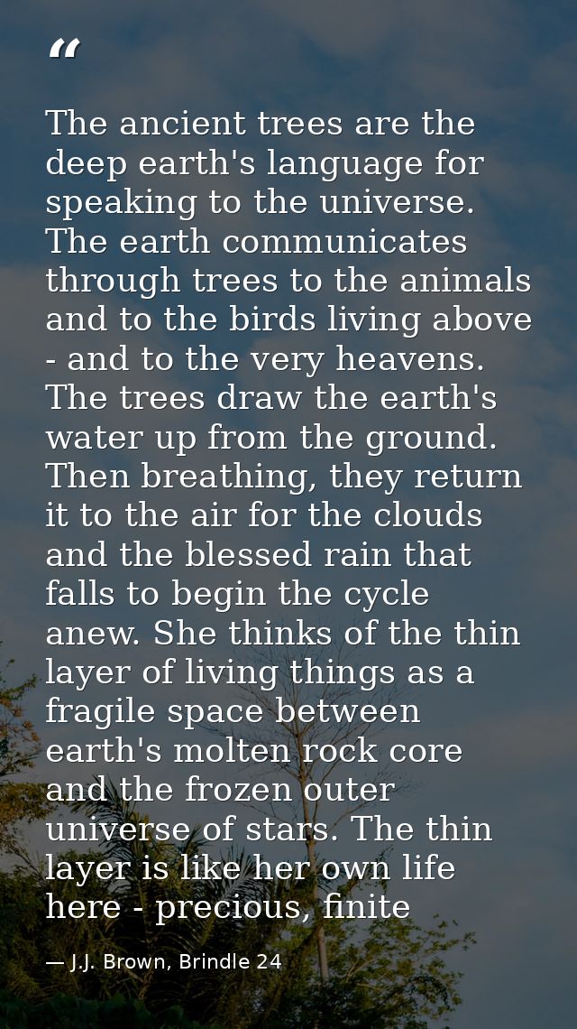 The ancient trees are the deep earth's language for speaking to the universe. The earth communicates through trees to th — J.J. Brown, Brindle 24