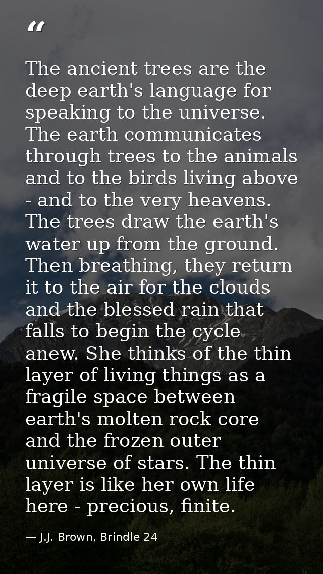 The ancient trees are the deep earth's language for speaking to the universe. The earth communicates through trees to th — J.J. Brown, Brindle 24
