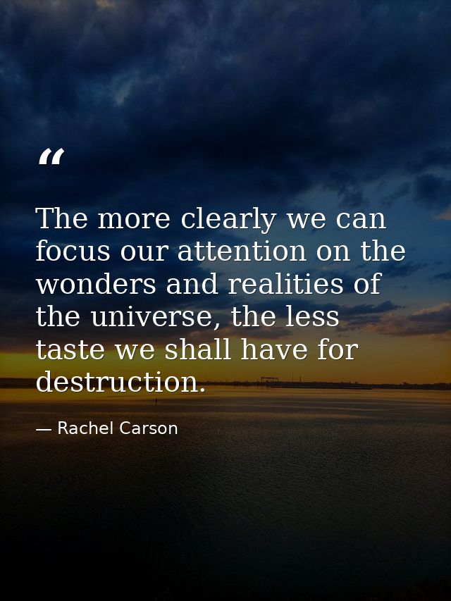 The more clearly we can focus our attention on the wonders and realities of the universe, the less taste we shall have f — Rachel Carson