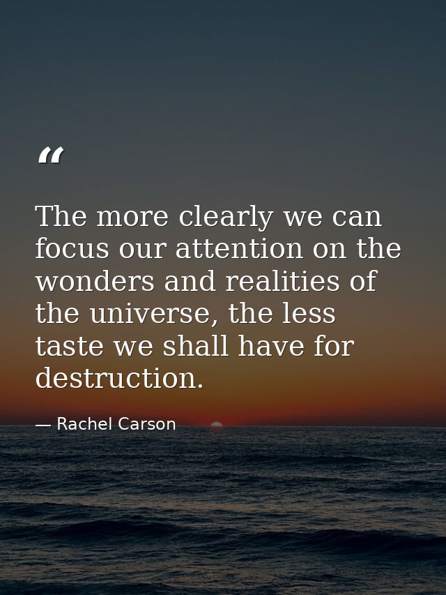 The more clearly we can focus our attention on the wonders and realities of the universe, the less taste we shall have f — Rachel Carson