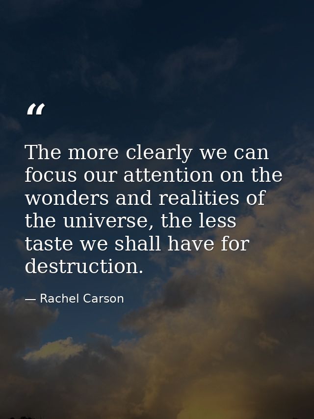 The more clearly we can focus our attention on the wonders and realities of the universe, the less taste we shall have f — Rachel Carson