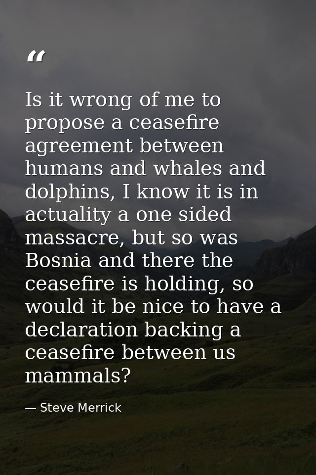 Is it wrong of me to propose a ceasefire agreement between humans and whales and dolphins, I know it is in actuality a o — Steve Merrick