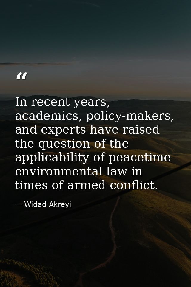 In recent years, academics, policy-makers, and experts have raised the question of the applicability of peacetime enviro — Widad Akreyi