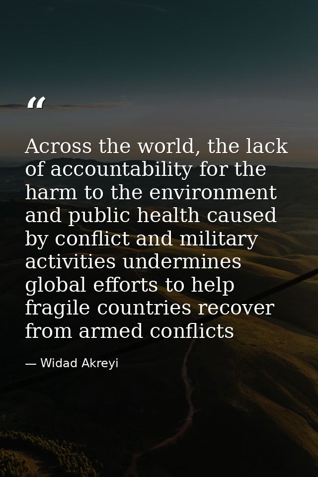 Across the world, the lack of accountability for the harm to the environment and public health caused by conflict and mi — Widad Akreyi