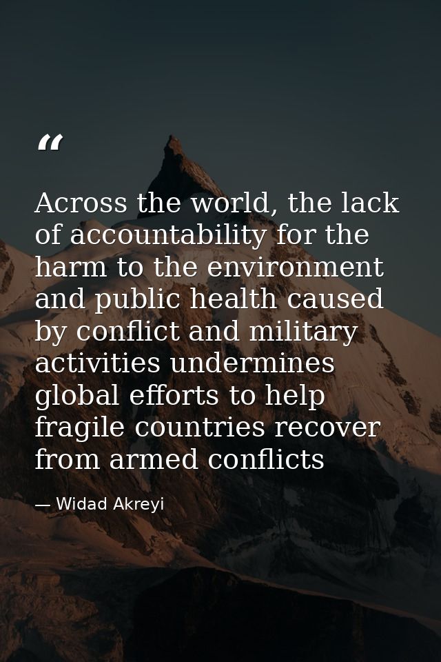 Across the world, the lack of accountability for the harm to the environment and public health caused by conflict and mi — Widad Akreyi