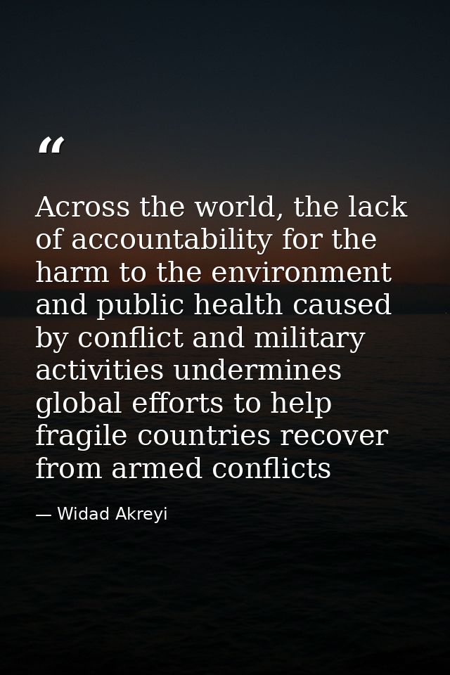 Across the world, the lack of accountability for the harm to the environment and public health caused by conflict and mi — Widad Akreyi