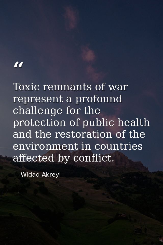 Toxic remnants of war represent a profound challenge for the protection of public health and the restoration of the envi — Widad Akreyi