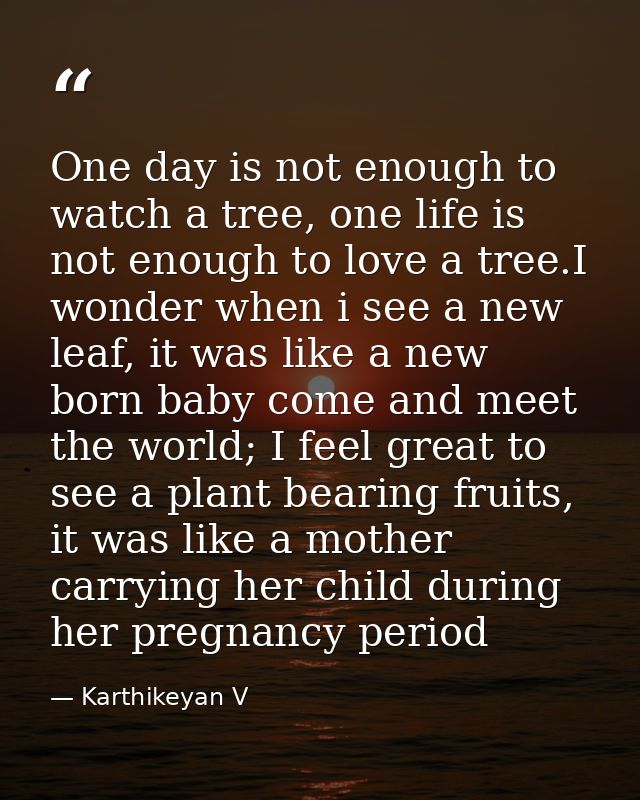 One day is not enough to watch a tree, one life is not enough to love a tree.I wonder when i see a new leaf, it was like — Karthikeyan V