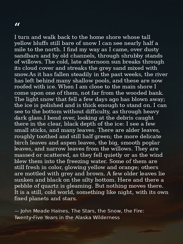 I turn and walk back to the home shore whose tall yellow bluffs still bare of snow I can see nearly half a mile to the n — John Meade Haines, The Stars, the Snow, the Fire: Twenty-Five Years in the Alaska Wilderness