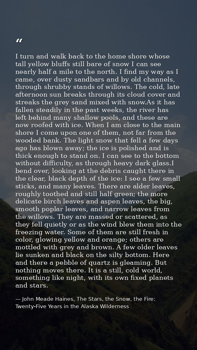 I turn and walk back to the home shore whose tall yellow bluffs still bare of snow I can see nearly half a mile to the n — John Meade Haines, The Stars, the Snow, the Fire: Twenty-Five Years in the Alaska Wilderness