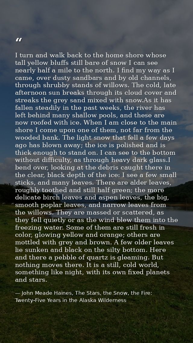 I turn and walk back to the home shore whose tall yellow bluffs still bare of snow I can see nearly half a mile to the n — John Meade Haines, The Stars, the Snow, the Fire: Twenty-Five Years in the Alaska Wilderness