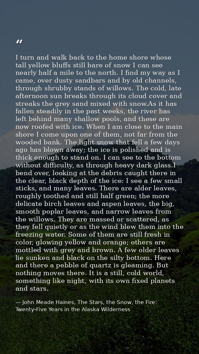 I turn and walk back to the home shore whose tall yellow bluffs still bare of snow I can see nearly half a mile to the n — John Meade Haines, The Stars, the Snow, the Fire: Twenty-Five Years in the Alaska Wilderness