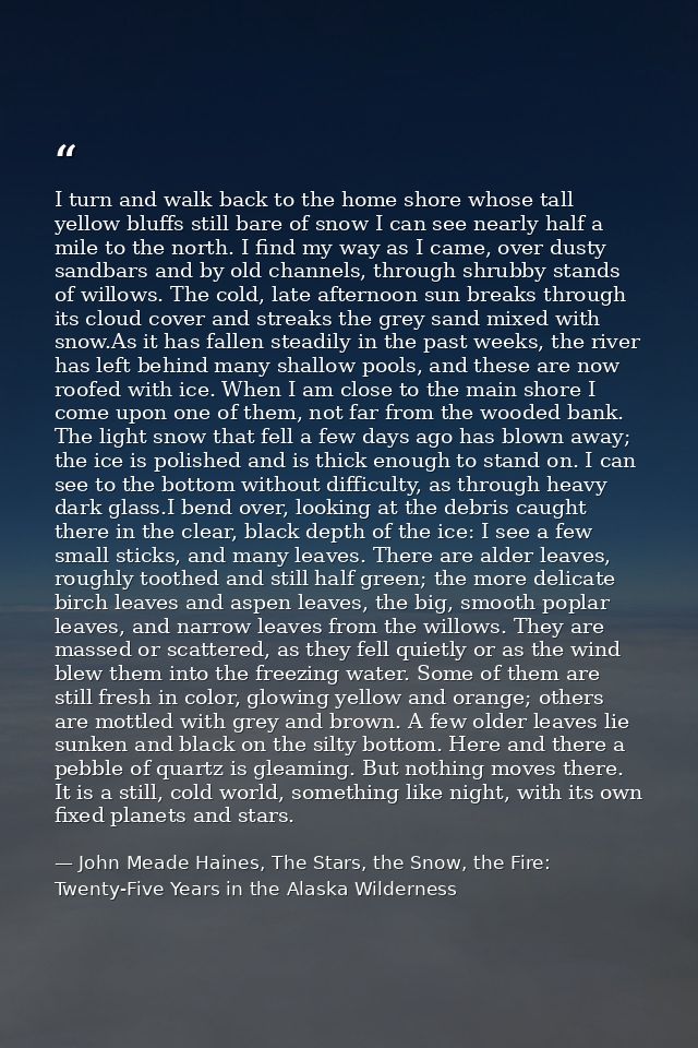 I turn and walk back to the home shore whose tall yellow bluffs still bare of snow I can see nearly half a mile to the n — John Meade Haines, The Stars, the Snow, the Fire: Twenty-Five Years in the Alaska Wilderness