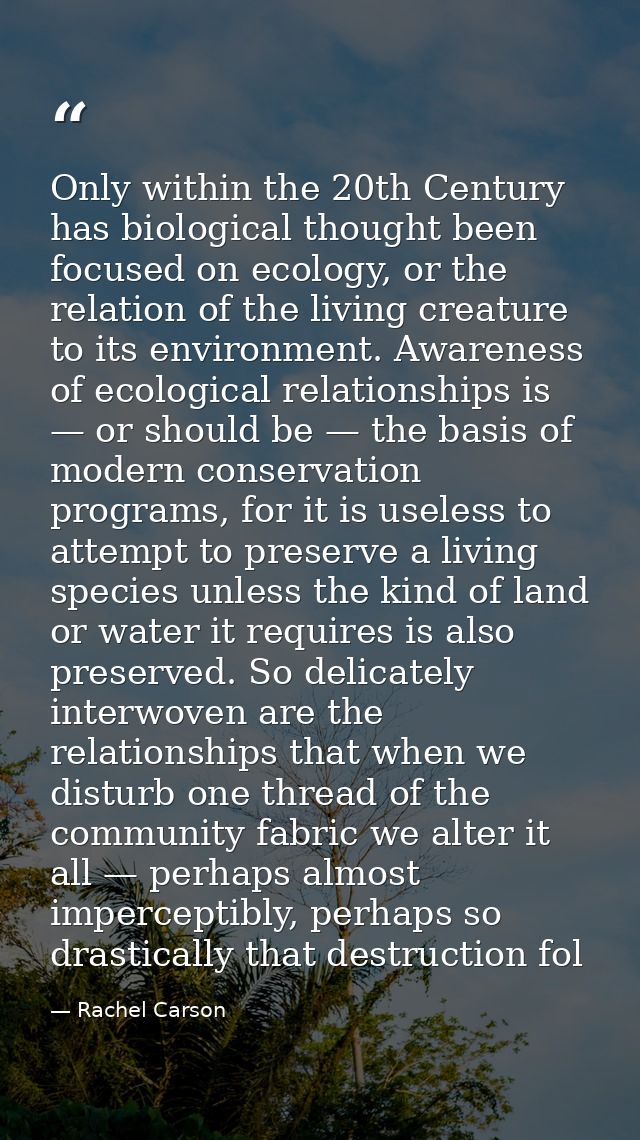 Only within the 20th Century has biological thought been focused on ecology, or the relation of the living creature to i — Rachel Carson