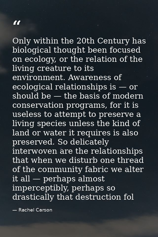 Only within the 20th Century has biological thought been focused on ecology, or the relation of the living creature to i — Rachel Carson
