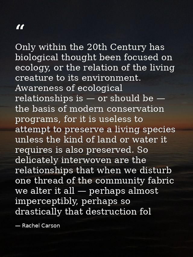 Only within the 20th Century has biological thought been focused on ecology, or the relation of the living creature to i — Rachel Carson