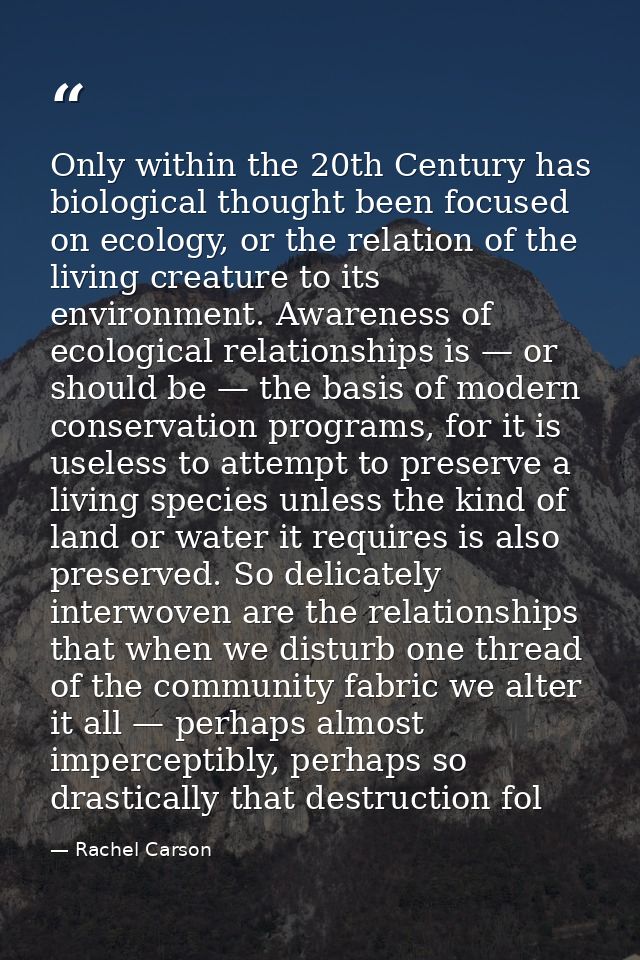 Only within the 20th Century has biological thought been focused on ecology, or the relation of the living creature to i — Rachel Carson