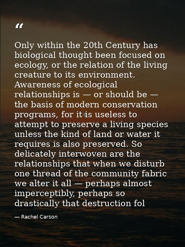 Only within the 20th Century has biological thought been focused on ecology, or the relation of the living creature to i — Rachel Carson
