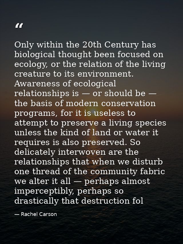 Only within the 20th Century has biological thought been focused on ecology, or the relation of the living creature to i — Rachel Carson