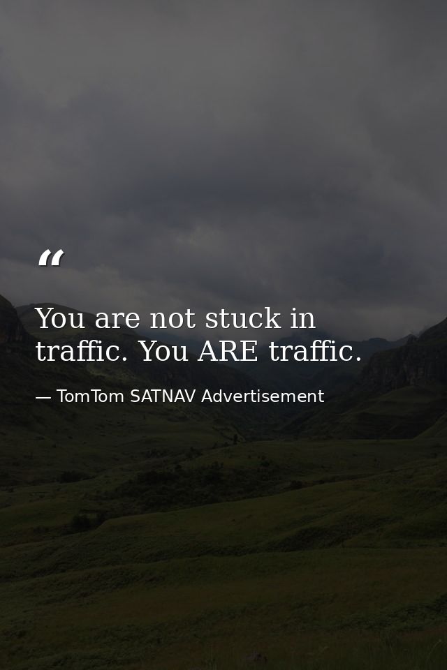 You are not stuck in traffic. You ARE traffic. — TomTom SATNAV Advertisement