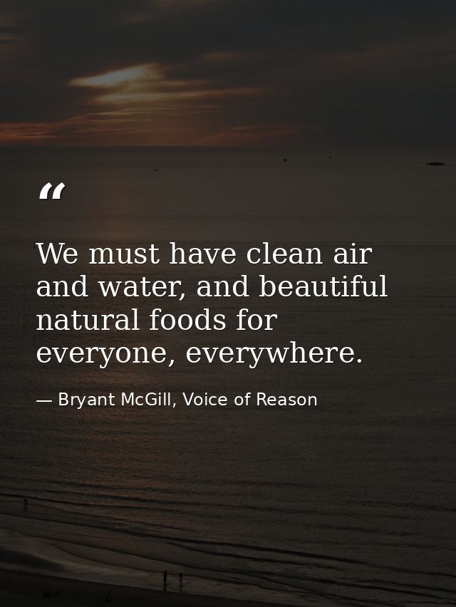 We must have clean air and water, and beautiful natural foods for everyone, everywhere. — Bryant McGill, Voice of Reason