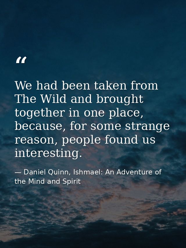 We had been taken from The Wild and brought together in one place, because, for some strange reason, people found us int — Daniel Quinn, Ishmael: An Adventure of the Mind and Spirit
