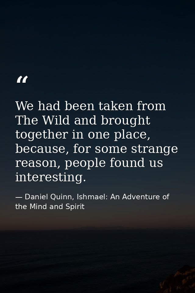 We had been taken from The Wild and brought together in one place, because, for some strange reason, people found us int — Daniel Quinn, Ishmael: An Adventure of the Mind and Spirit