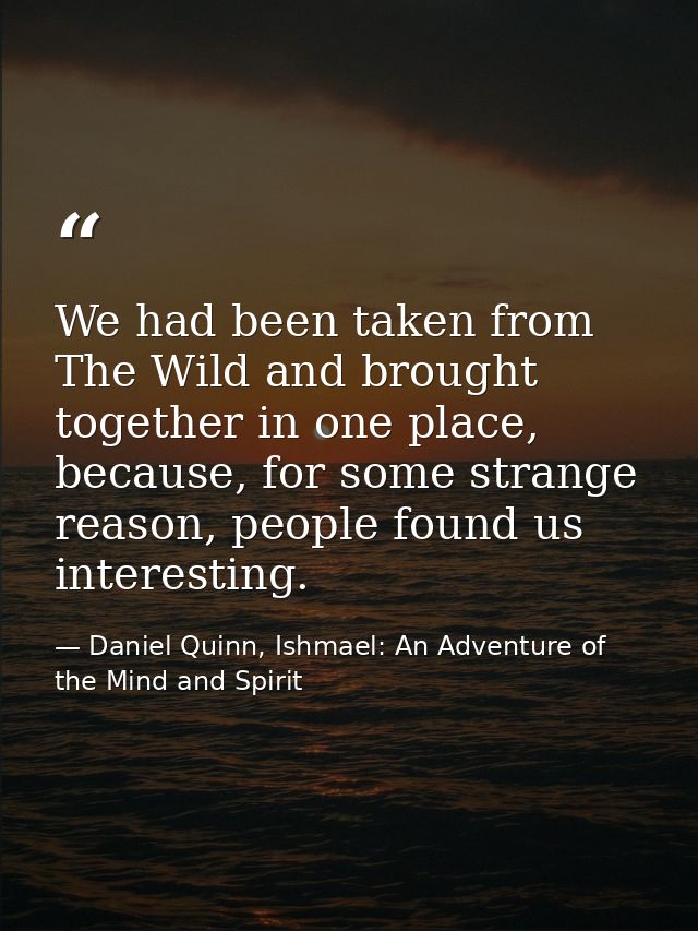 We had been taken from The Wild and brought together in one place, because, for some strange reason, people found us int — Daniel Quinn, Ishmael: An Adventure of the Mind and Spirit
