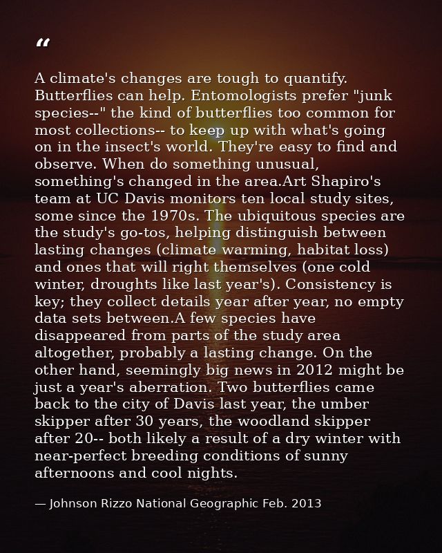 A climate's changes are tough to quantify. Butterflies can help. Entomologists prefer "junk species--" the kind of butte — Johnson Rizzo National Geographic Feb. 2013