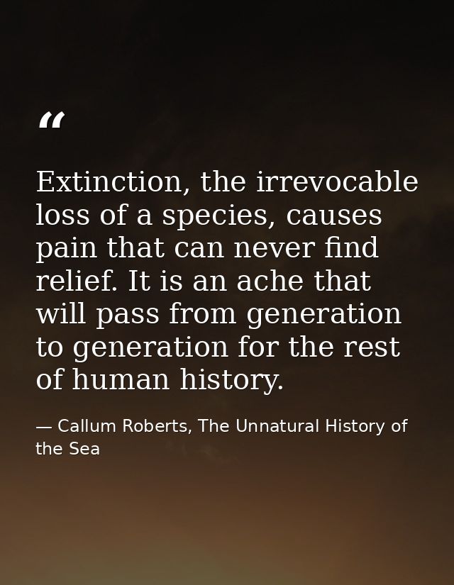 Extinction, the irrevocable loss of a species, causes pain that can never find relief. It is an ache that will pass from — Callum Roberts, The Unnatural History of the Sea