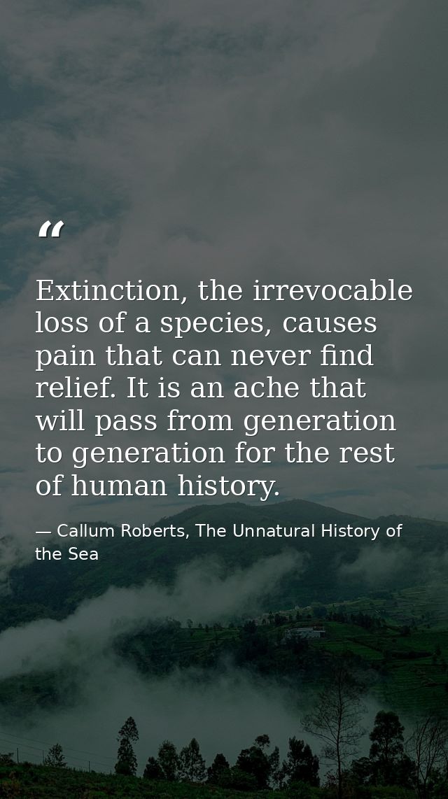 Extinction, the irrevocable loss of a species, causes pain that can never find relief. It is an ache that will pass from — Callum Roberts, The Unnatural History of the Sea