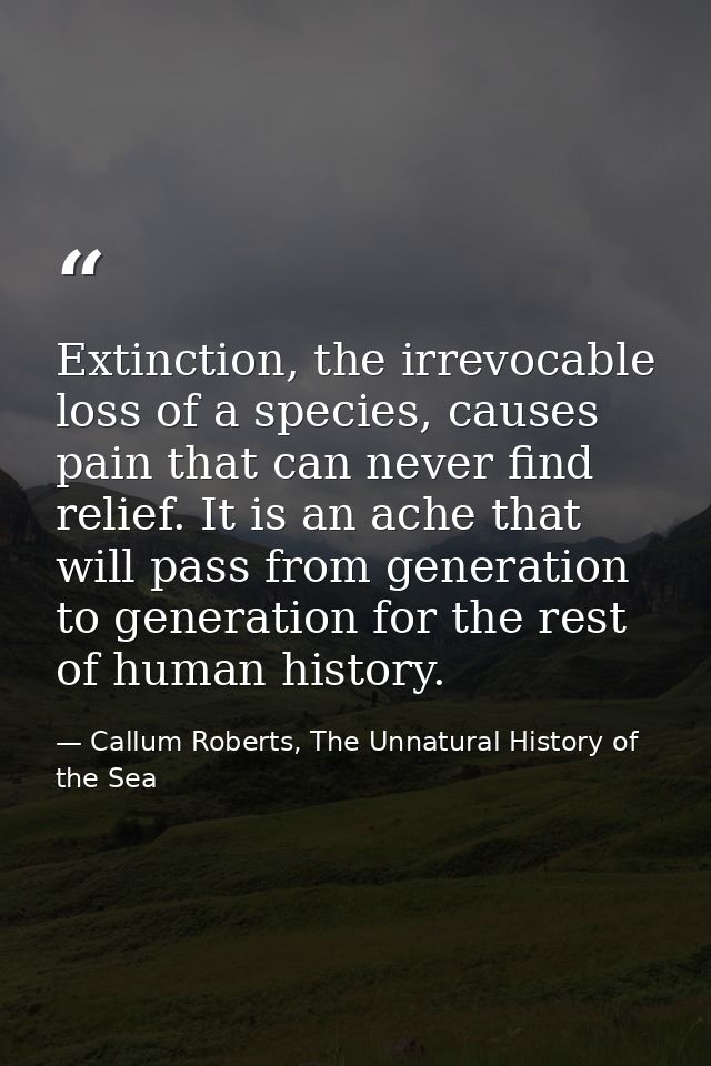 Extinction, the irrevocable loss of a species, causes pain that can never find relief. It is an ache that will pass from — Callum Roberts, The Unnatural History of the Sea