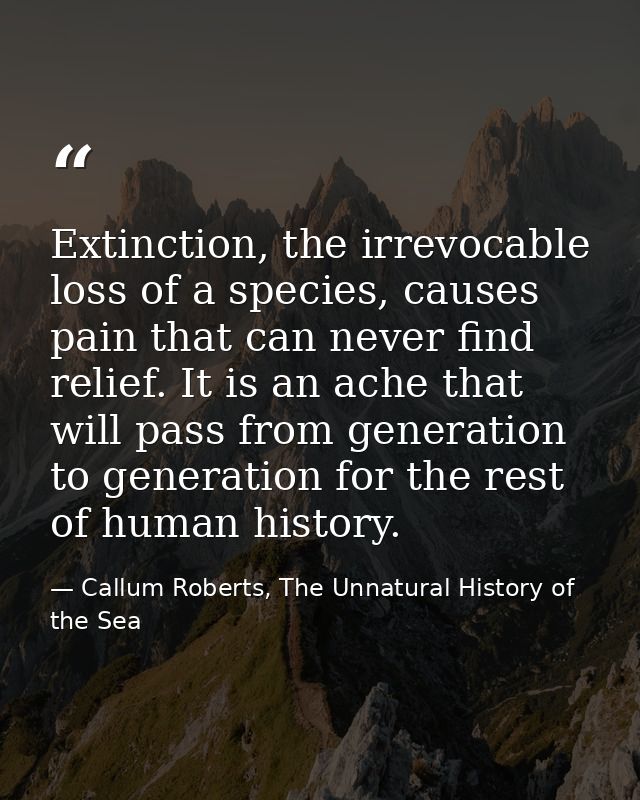 Extinction, the irrevocable loss of a species, causes pain that can never find relief. It is an ache that will pass from — Callum Roberts, The Unnatural History of the Sea