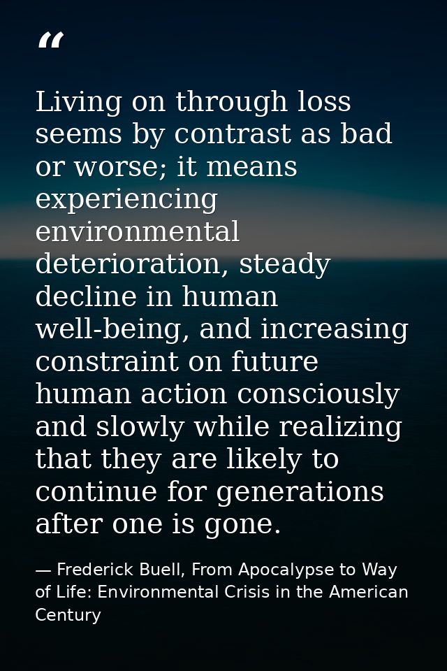 Living on through loss seems by contrast as bad or worse; it means experiencing environmental deterioration, steady decl — Frederick Buell, From Apocalypse to Way of Life: Environmental Crisis in the American Century