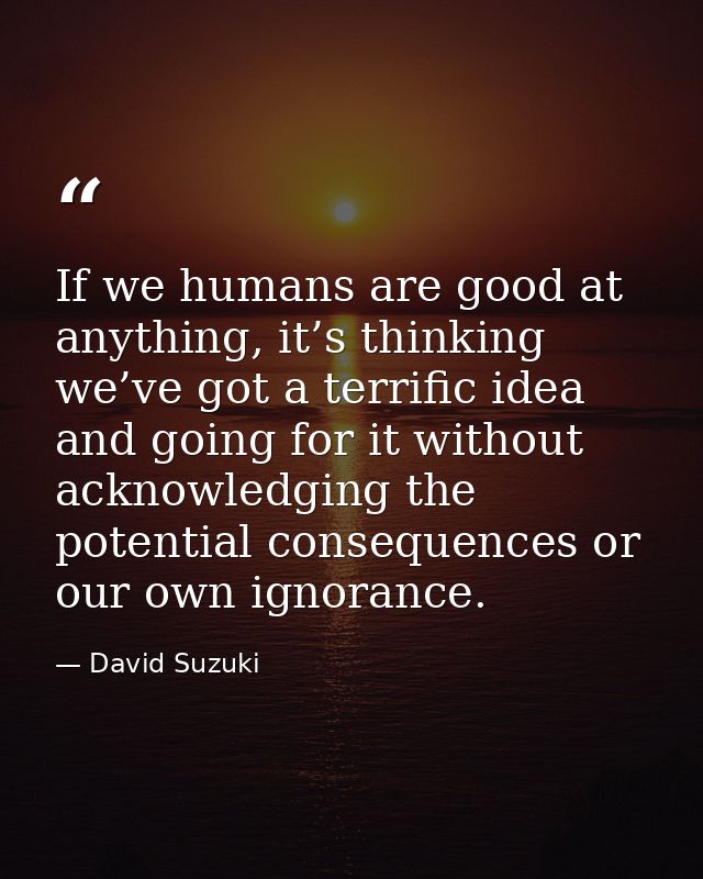 If we humans are good at anything, it’s thinking we’ve got a terrific idea and going for it without acknowledging the po — David Suzuki