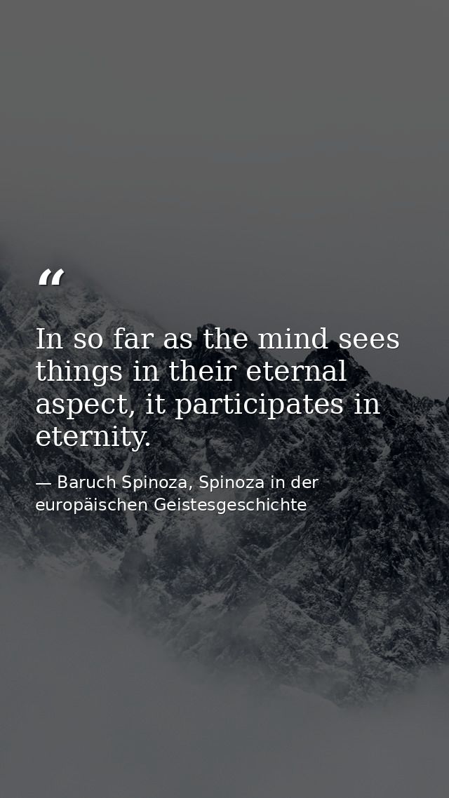 In so far as the mind sees things in their eternal aspect, it participates in eternity. — Baruch Spinoza, Spinoza in der europäischen Geistesgeschichte