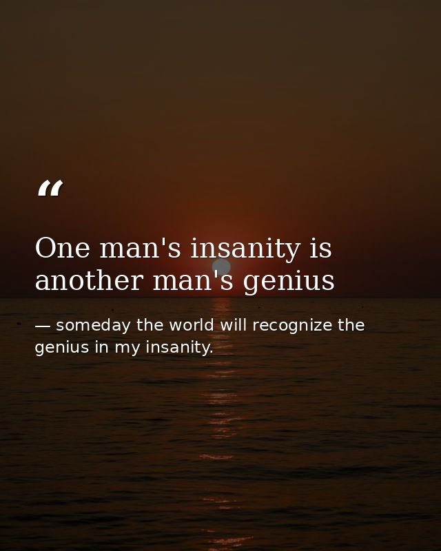One man's insanity is another man's genius — someday the world will recognize the genius in my insanity.
