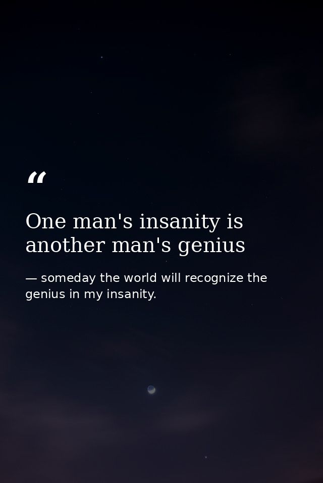 One man's insanity is another man's genius — someday the world will recognize the genius in my insanity.