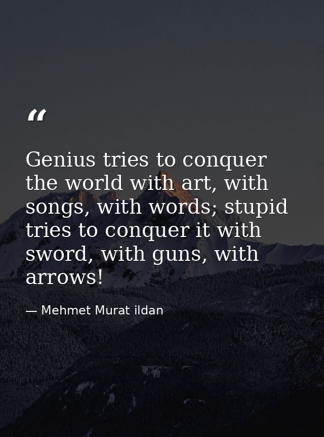 Genius tries to conquer the world with art, with songs, with words; stupid tries to conquer it with sword, with guns, wi — Mehmet Murat ildan