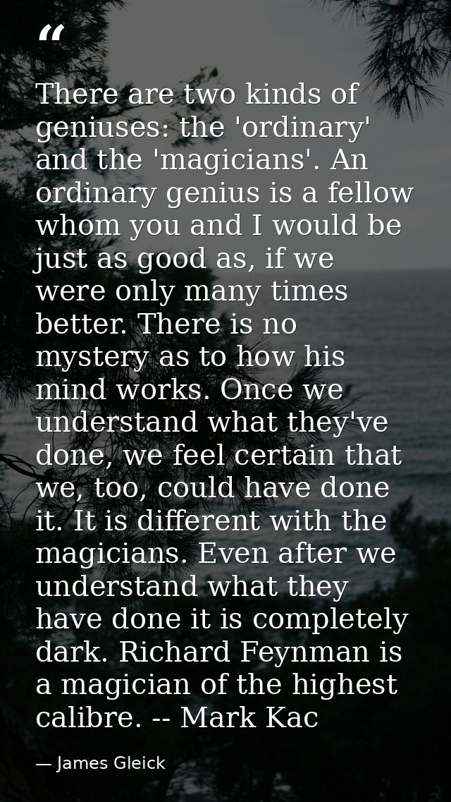 There are two kinds of geniuses: the 'ordinary' and the 'magicians'. An ordinary genius is a fellow whom you and I would — James Gleick